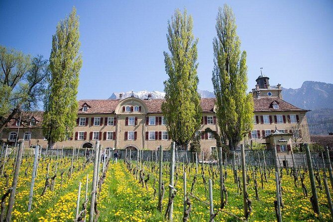 3 Hour Unique Wine Tour - Half Day in Swiss Alps - Maienfeld start: easy access, then straight into the wine region