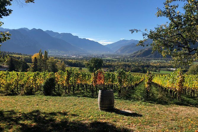 3 Hour Unique Wine Tour - Half Day in Swiss Alps - Stop 1: vines, cellars, and tastings that explain what you’re drinking
