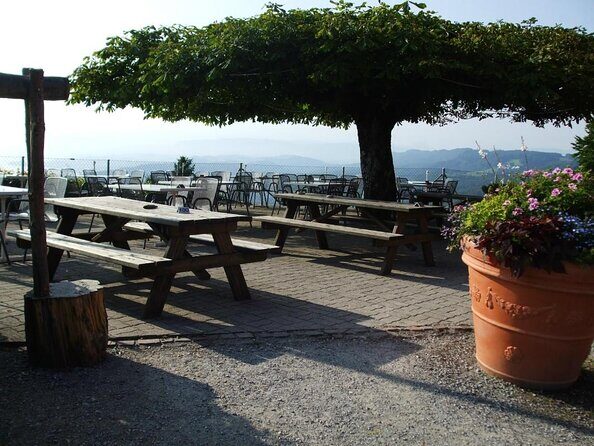 3 in 1: Zurich Walking Tour - Cruise on the Lake - Cable Car Ride to Felsenegg - Key things to know before you go