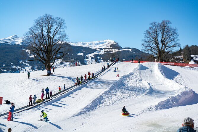 Afternoon Beginner Package Ski in Interlaken - Why an Afternoon Beginner Lesson Around Interlaken Makes Sense
