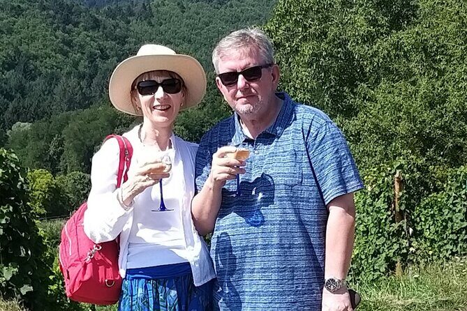 Alsace wine tour and medieval villages. Small group guided tour - Eguisheim vineyards: the first tasting and the right warm-up