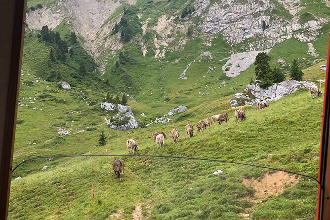 Basel Private tour - Mt. Pilatus and Cruise on Lake of Lucerne - Lake Lucerne Cruise: Bürgenstock, Rigi, and the Lake of Four Cantons
