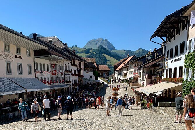 Bern Private Tour - Gruyères , Cheese, and Lavaux's UNESCO Wine - Wine tasting at Clos de la République with the estate owner