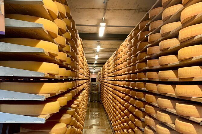 Bern Private Tour - Gruyères , Cheese, and Lavaux's UNESCO Wine - Train ride back through the vineyards: timing your energy