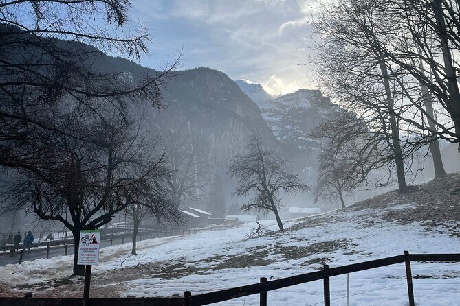 Best of Bernese Oberland & Swiss Countryside Tour (Private Tour) - Practical Tips to Plan Your Day Like a Local