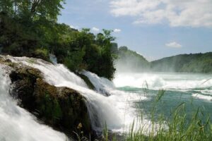 Black Forest and Rhine Falls Day Trip from Zurich - Meeting Point and Timing: What Your Day Really Feels Like