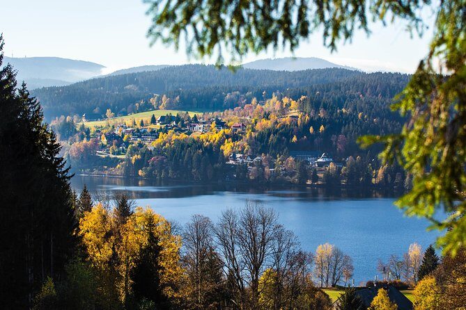 Black Forest and Rhine Falls Day Trip from Zurich - Drubba Watch Showroom: Cuckoo Clocks Up Close