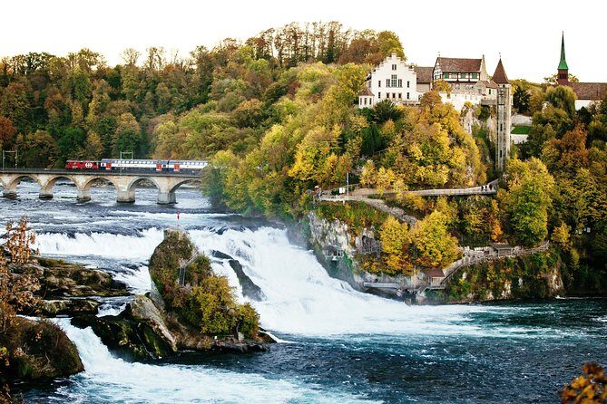 Black Forest and Rhine Falls Day Trip from Zurich - Lake Titisee Free Time: What You Can Do With Two Hours