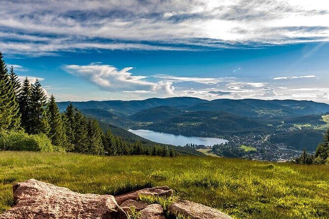 Black Forest and Rhine Falls Day Trip from Zurich - Getting Food and Souvenirs Without Letting Them Steal Your Day