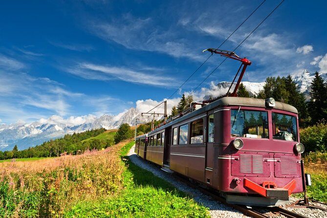 Chamonix and Mont Blanc Private Day Trip from Geneva - Your driver matters: names, styles, and expectations
