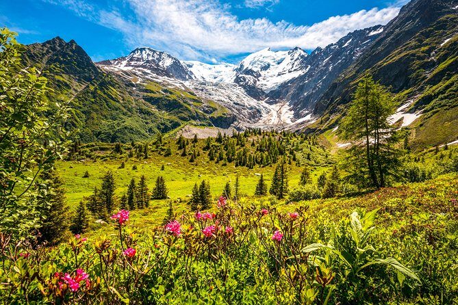 Chamonix and Mont Blanc Private Day Trip from Geneva - Price and value: what you’re paying for (and when it’s money well spent)