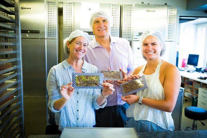 Chocolate Tasting with Lake Trip and City Tour: The Ultimate Lucerne Experience - Luzern Altstadt on Foot: Chapel Bridge, Lion Monument, and the Castle Views