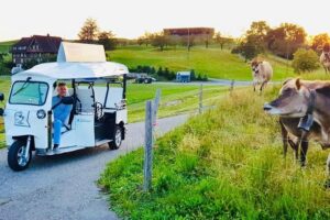 City Tour Plus Lucerne by Etuktuk - Old Town Lucerne: your fast orientation without the fatigue