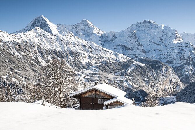Day Sledding in Interlaken - How the guides shape the experience (including what to watch for)