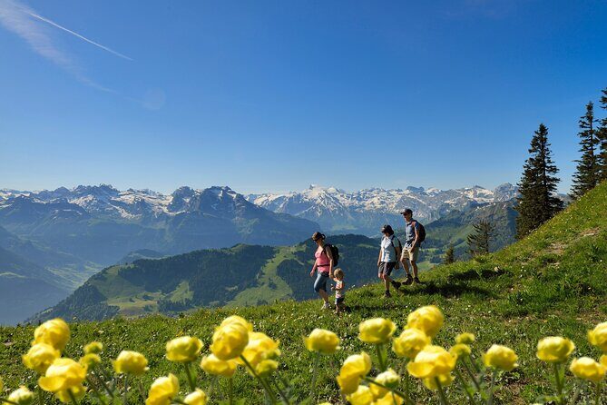 Day Trip to Lucerne and Mount Stanserhorn Including CabriO Cable Car Ride - What the tour includes (and why that matters for value)