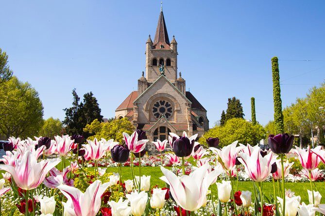 Discover Basel’s most Photogenic Spots with a Local - The Cathedral-View Bridge Photo Stop: Basel’s Best Angle in Motion