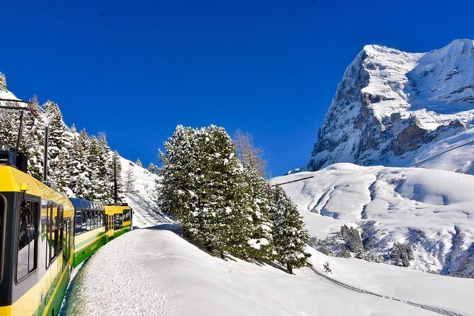 Eiger and Jungfrau Glacier Panorama Tour from Zurich - Price and Value: What You’re Really Paying For