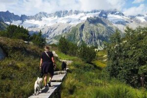 Full-Day Hiking Swiss Alps and Lake swim with Pick-up - Winter Snowshoe Options: Engelberg, Titlis, Rigi, and Langis