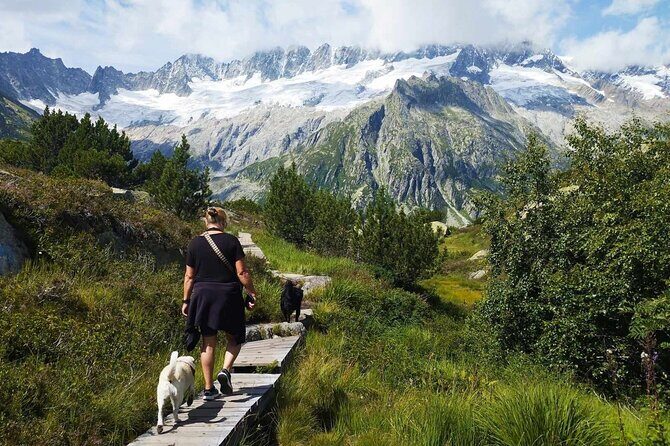 Full-Day Hiking Swiss Alps and Lake swim with Pick-up - Winter Snowshoe Options: Engelberg, Titlis, Rigi, and Langis