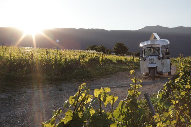 Geneva Panoramic & Tasting Vineyards Tour in an Tuk Tuk - Key Points Worth Knowing