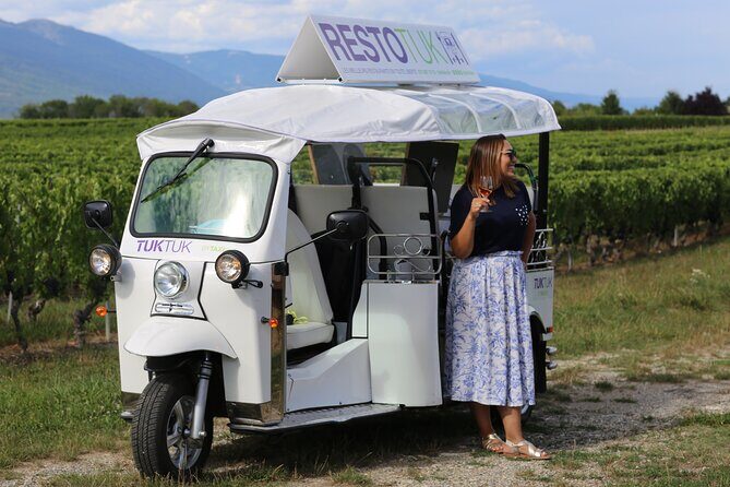 Geneva Panoramic & Tasting Vineyards Tour in an Tuk Tuk - How the eTukTuk Ride Makes Geneva Wine Country Feel Easy