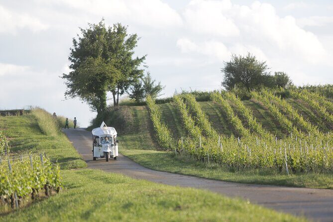 Geneva Panoramic & Tasting Vineyards Tour in an Tuk Tuk - Guide and Driver Stories: Carlos, Yanick, and the Impact of Who’s at the Mic