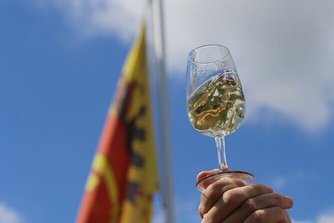 Geneva Panoramic & Tasting Vineyards Tour in an Tuk Tuk - Should You Book This Tuk Tuk Geneva Wine Tour?
