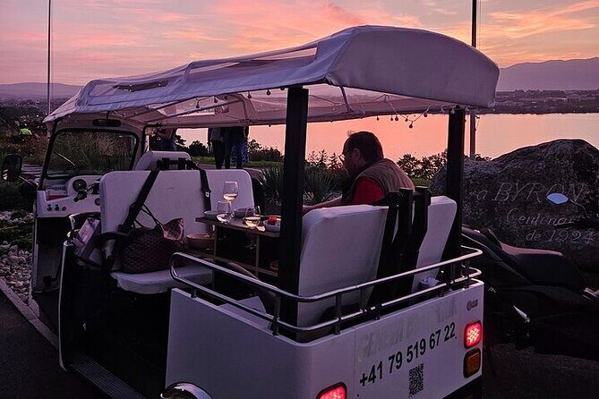 Geneva: Sightseeing of top Places Tour Electric TukTuk 1H15 tour - First: why an electric TukTuk works so well in Geneva