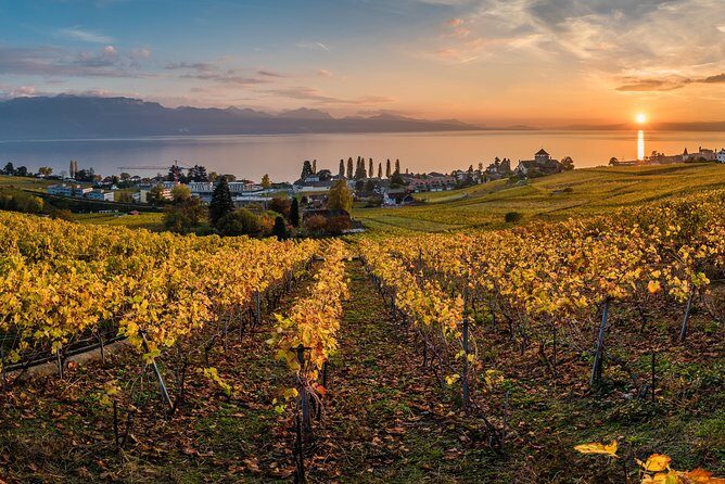 Geneva to Lausanne, Montreux and Château Chillon Private Tour - Vevey: the calm break that keeps the day from feeling rushed