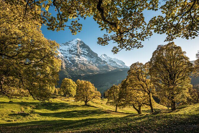 Grindelwald, Interlaken and Lauterbrunnen Day Trip from Lucerne - Grindelwald’s long block: where you should spend your energy