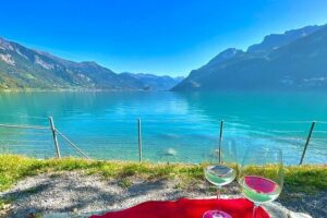 Grindelwald, Lauterbrunnen Lungern Interlaken Semi-Private - The Owi Land Viewpoint Break: Small Stop, Big Payoff