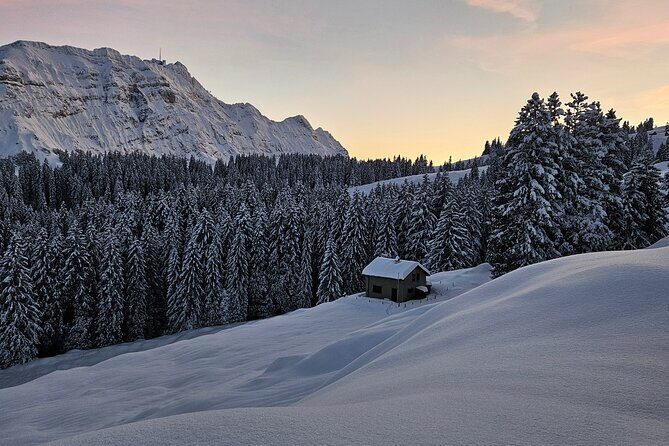 Grindelwald, Lauterbrunnen Lungern Interlaken Semi-Private - The Van Experience: Comfort, Wi‑Fi, and One Common Complaint