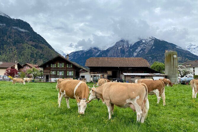 Grindelwald, Lauterbrunnen & Mürren Private Day Trip from Zurich - How the Guides Make This Tour Feel Worth It
