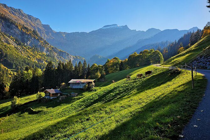 Guided Excursion to Jungfraujoch, Grindelwald and Lauterbrunnen from Lucerne - The summit attractions: Ice Palace, Sphinx Terrace, and Aletsch Glacier views