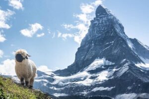 Guided Hiking Half Day in Zermatt - Stellisee Reflections: When the Lake Becomes a Mirror