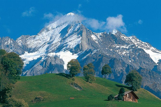 Interlaken and Grindelwald Day Trip from Lucerne - Grindelwald Time: The Glacier Village Feel on Your Own Schedule