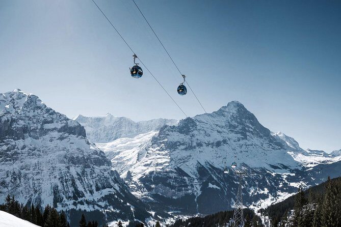 Interlaken and Grindelwald Day Trip from Lucerne - Who This Tour Is Best For (And Who Should Think Twice)