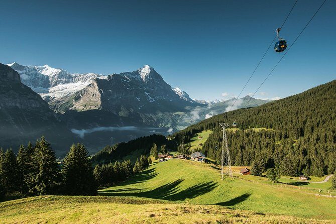 Interlaken and Grindelwald Day Trip from Lucerne - Timing, Meeting the Coach, and Why Punctuality Matters