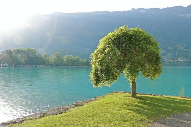 (KTG361) - Interlaken day trip by bus from Geneva - Geneva to Interlaken: what you’re really paying for