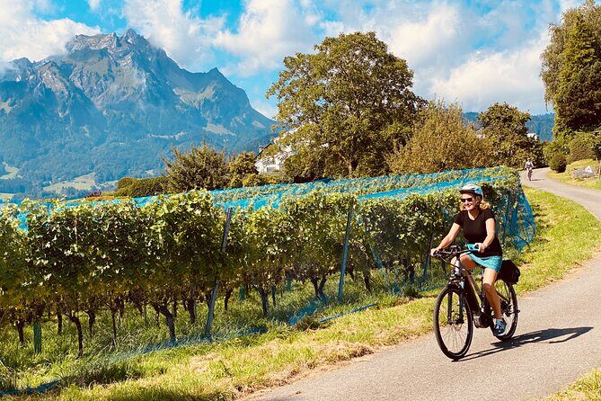 Lake Lucerne Peninsula e-Bike Tour - Why the Guide Matters More Than You Think