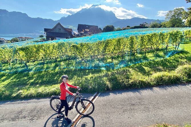 Lake Lucerne Peninsula e-Bike Tour - Fitness Notes: Who This Tour Fits Best