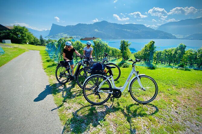 Lake Lucerne Peninsula e-Bike Tour - When to Go: All Year, But Check Conditions
