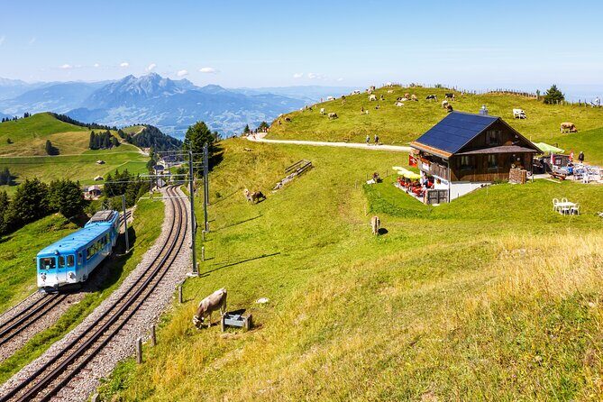 Mount Rigi: A Scenic Day Trip to the Queen of the Mountains - Rigi Staffel lunch, Kaltbad walk, and the Weggis cable ride