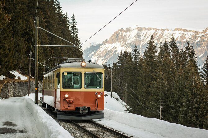 Mountain Majesty: Small Group Tour to Lauterbrunnen and Mürren - Weather and Extra Stops: How to Keep Your Day Flexible