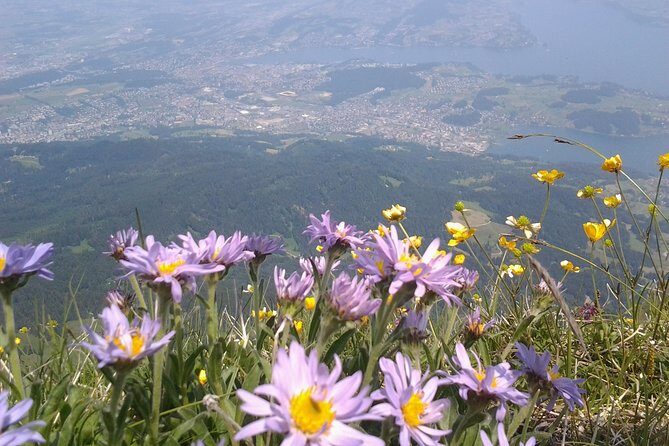 Mt. Pilatus Golden Roundtrip Private Day Trip from Luzern - Private Guide Pacing: Why People Rave About the Timing