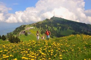 Mt Rigi and Lucerne Day Trip from Zurich With Boat Ride - Price and Time: what $204.20 buys in a 9.5-hour day