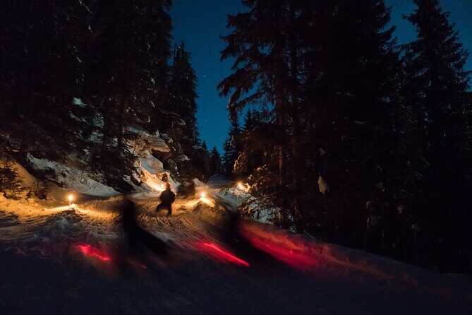 Night Sledding from Interlaken - How the 3-hour flow actually feels from Interlaken