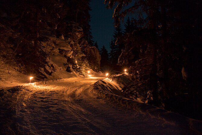 Night Sledding from Interlaken - Safety reality check: precipices, technique, and guide support