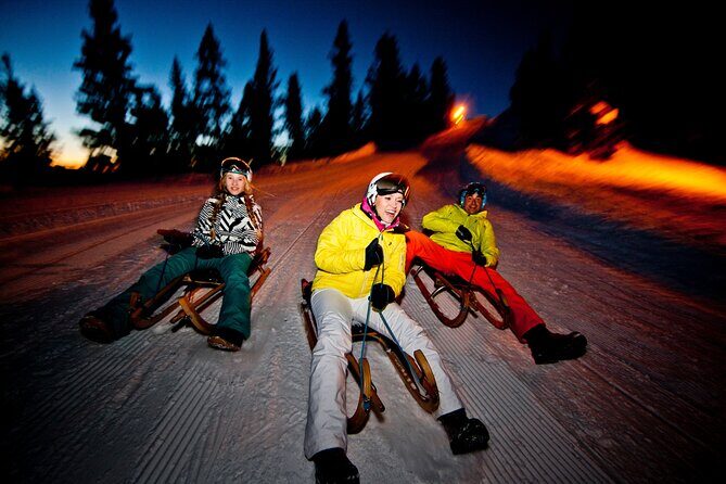 Night Sledding from Interlaken - Meeting at OUTDOOR Base in Wilderswil