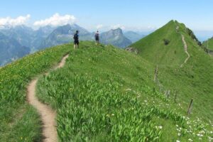 Peak to Peak Private Hiking Tour from Lucerne - The ridge hike from Klingenstock: 3 to 4 hours of real alpine panorama